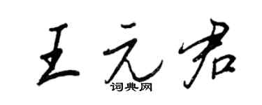 王正良王元君行书个性签名怎么写