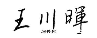 王正良王川晖行书个性签名怎么写