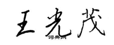 王正良王光茂行书个性签名怎么写