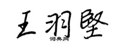 王正良王羽坚行书个性签名怎么写