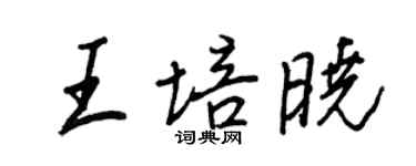 王正良王培晓行书个性签名怎么写