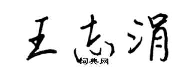 王正良王志涓行书个性签名怎么写