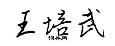 王正良王培武行书个性签名怎么写