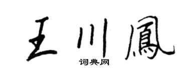 王正良王川凤行书个性签名怎么写