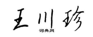 王正良王川珍行书个性签名怎么写