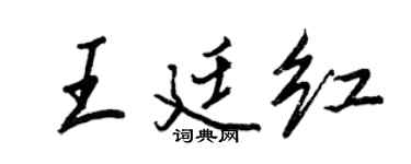 王正良王廷红行书个性签名怎么写