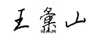 王正良王汇山行书个性签名怎么写