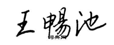 王正良王畅池行书个性签名怎么写