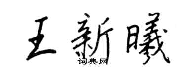 王正良王新曦行书个性签名怎么写