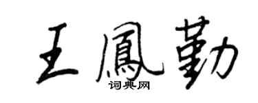 王正良王凤勤行书个性签名怎么写