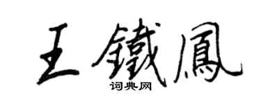 王正良王铁凤行书个性签名怎么写