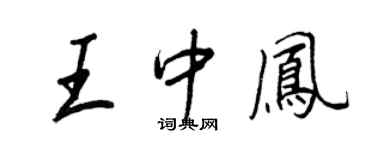 王正良王中凤行书个性签名怎么写