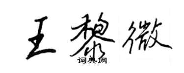 王正良王黎微行书个性签名怎么写