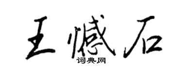 王正良王憾石行书个性签名怎么写