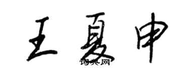 王正良王夏申行书个性签名怎么写