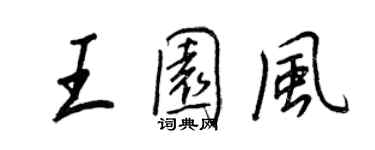 王正良王园风行书个性签名怎么写