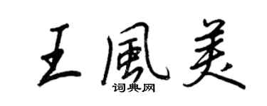 王正良王风美行书个性签名怎么写
