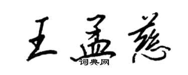 王正良王孟慈行书个性签名怎么写
