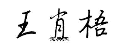 王正良王肖梧行书个性签名怎么写