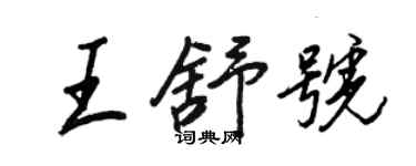 王正良王舒号行书个性签名怎么写
