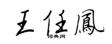 王正良王任凤行书个性签名怎么写