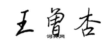 王正良王曾杏行书个性签名怎么写