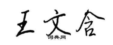王正良王文含行书个性签名怎么写