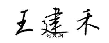 王正良王建禾行书个性签名怎么写