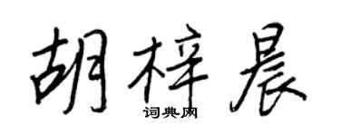 王正良胡梓晨行书个性签名怎么写