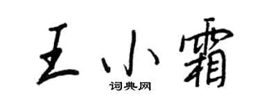 王正良王小霜行书个性签名怎么写