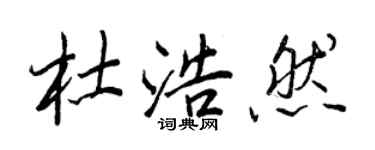 王正良杜浩然行书个性签名怎么写