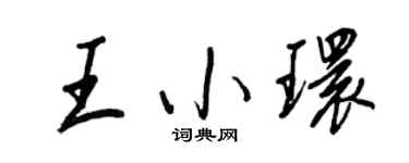 王正良王小环行书个性签名怎么写