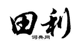 胡问遂田利行书个性签名怎么写