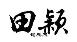 胡问遂田颖行书个性签名怎么写