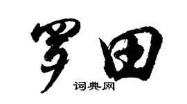 胡问遂罗田行书个性签名怎么写