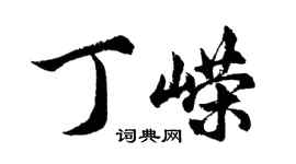 胡问遂丁嵘行书个性签名怎么写