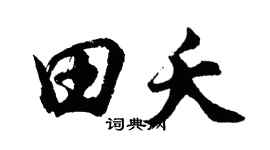 胡问遂田夭行书个性签名怎么写