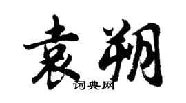 胡问遂袁朔行书个性签名怎么写