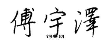 王正良傅宇泽行书个性签名怎么写