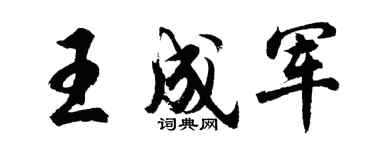 胡问遂王成军行书个性签名怎么写