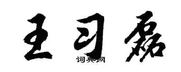 胡问遂王习磊行书个性签名怎么写