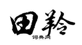 胡问遂田羚行书个性签名怎么写