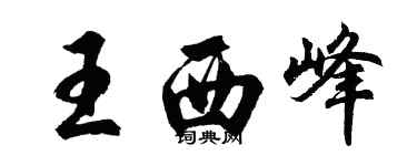 胡问遂王西峰行书个性签名怎么写