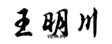 胡问遂王明川行书个性签名怎么写