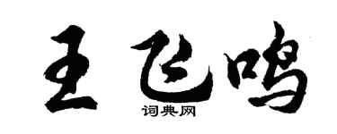 胡问遂王飞鸣行书个性签名怎么写