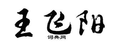 胡问遂王飞阳行书个性签名怎么写