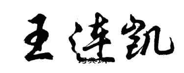 胡问遂王连凯行书个性签名怎么写