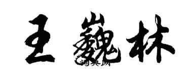 胡问遂王巍林行书个性签名怎么写
