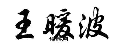 胡问遂王暖波行书个性签名怎么写