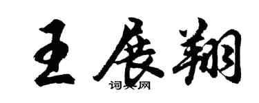 胡问遂王展翔行书个性签名怎么写